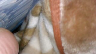 در صحنه تخت سگس خواهر با آریا اسکای اغوا کننده از BBC Pie